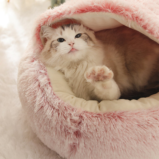 Cat litter to keep warm in winter for semi-enclosed cats